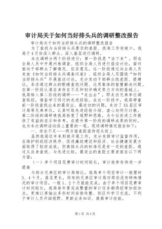 审计局关于如何当好排头兵的调研整改报告