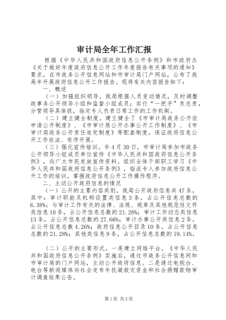 审计局全年工作汇报