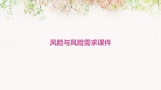 风险与风险需求课件