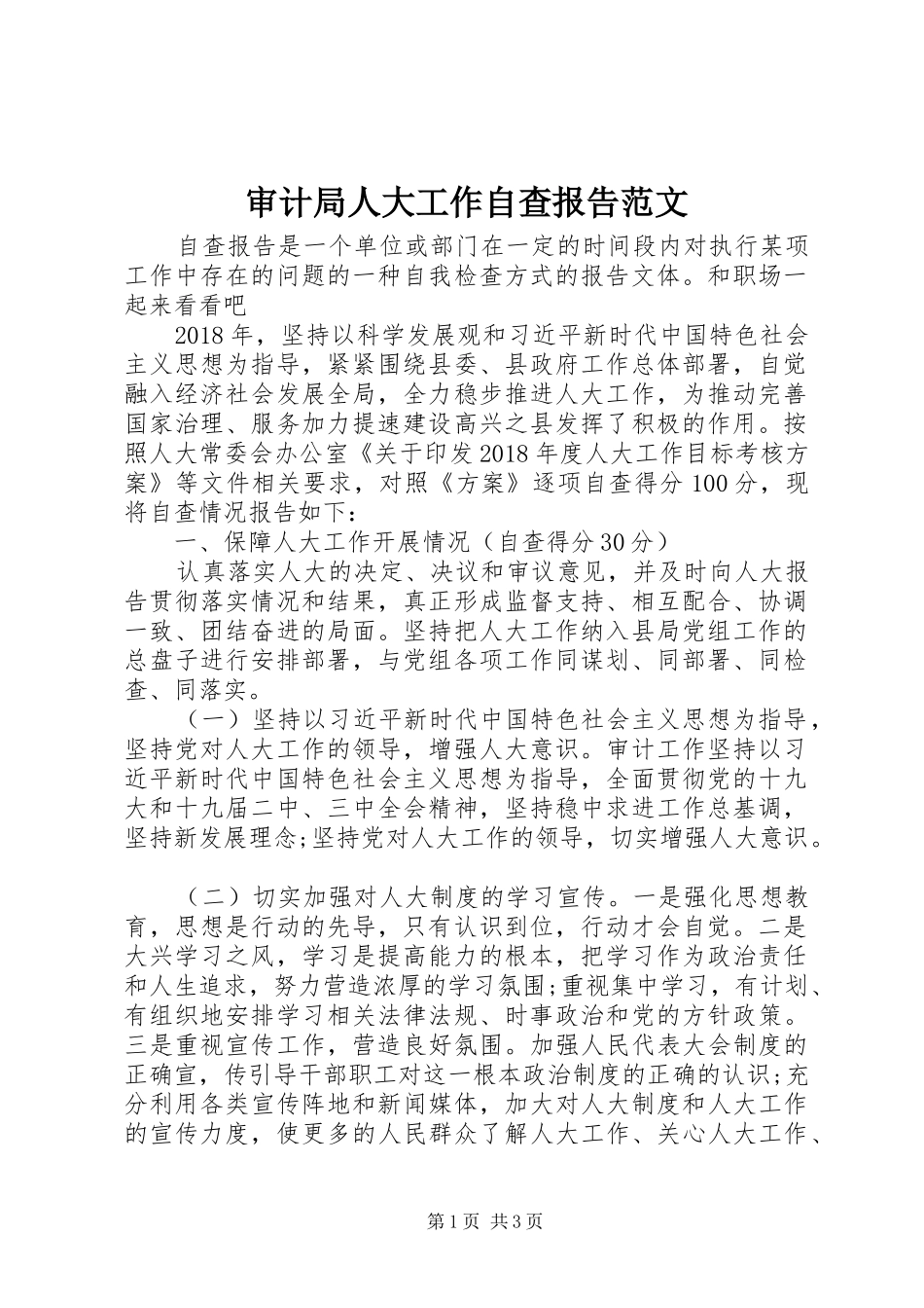 审计局人大工作自查报告范文_第1页