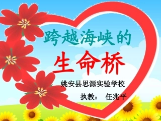 《跨越海峡的生命桥》
