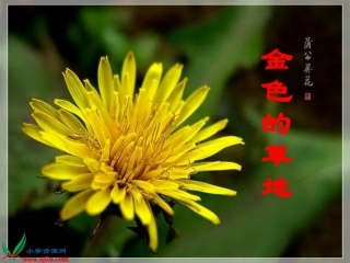 人教新课标三年级语文上册《金色的草地10》PPT课件