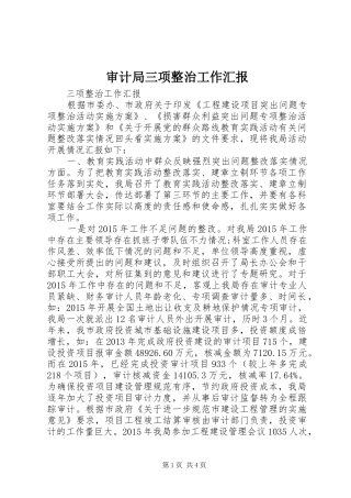 审计局三项整治工作汇报