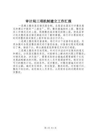 审计局三项机制建立工作汇报