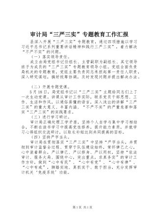 审计局“三严三实”专题教育工作汇报