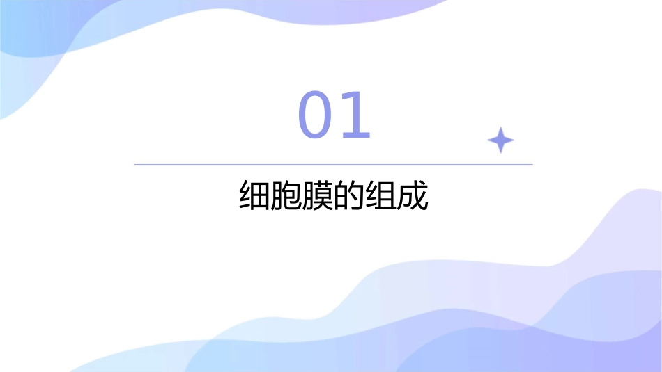 细胞膜的镶嵌流动模型课件_第3页