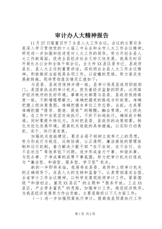 审计办人大精神报告