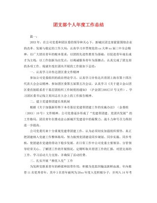 团支部个人年度工作总结 