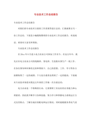 专业技术工作总结报告2 