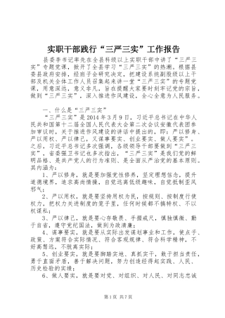 实职干部践行“三严三实”工作报告