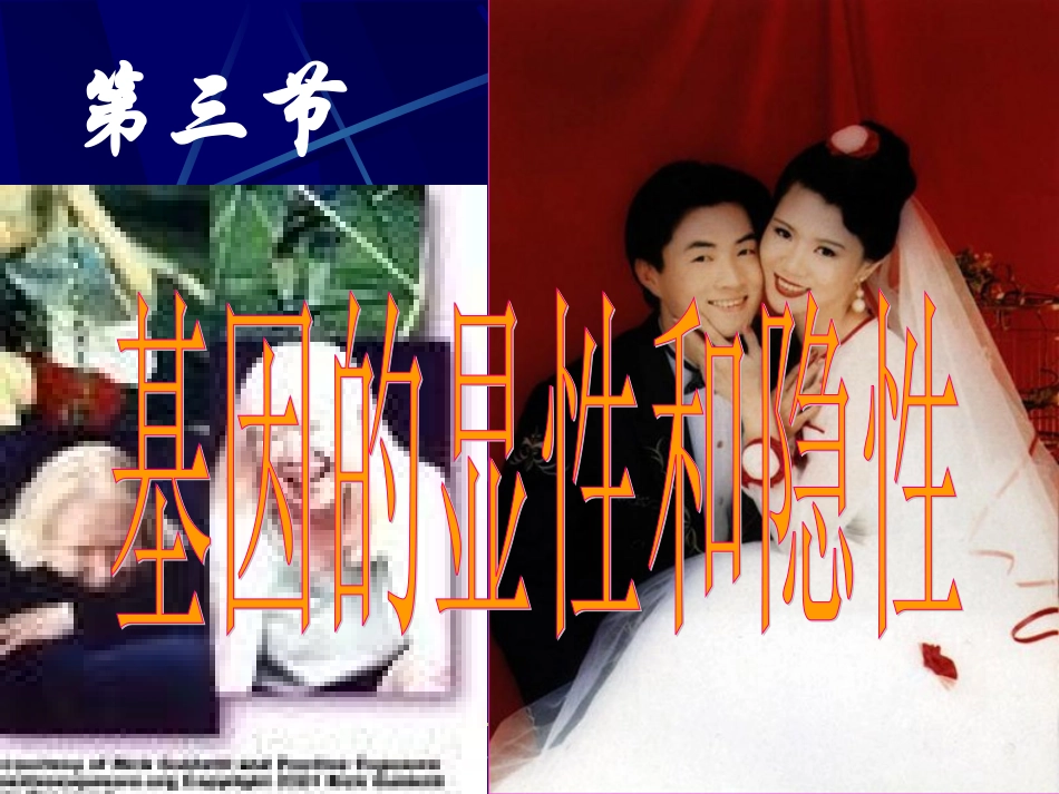 基因的显性和隐性_第3页