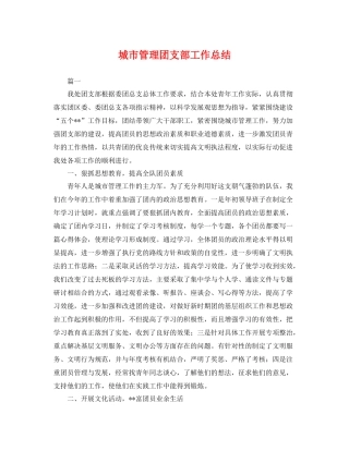 城市管理团支部工作总结 