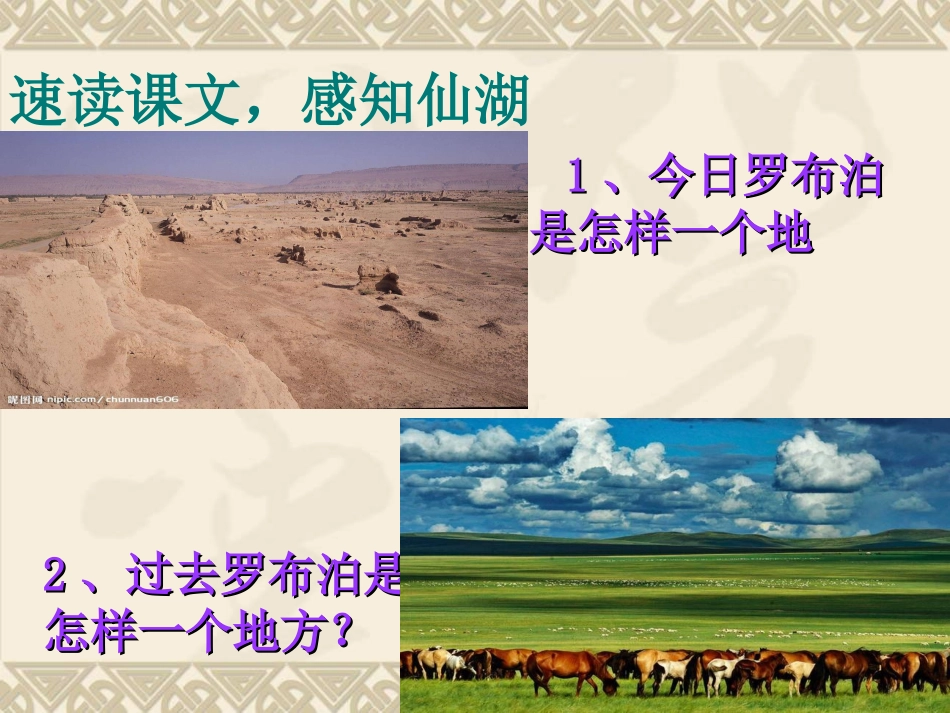 罗布泊，消逝的仙湖2_第3页