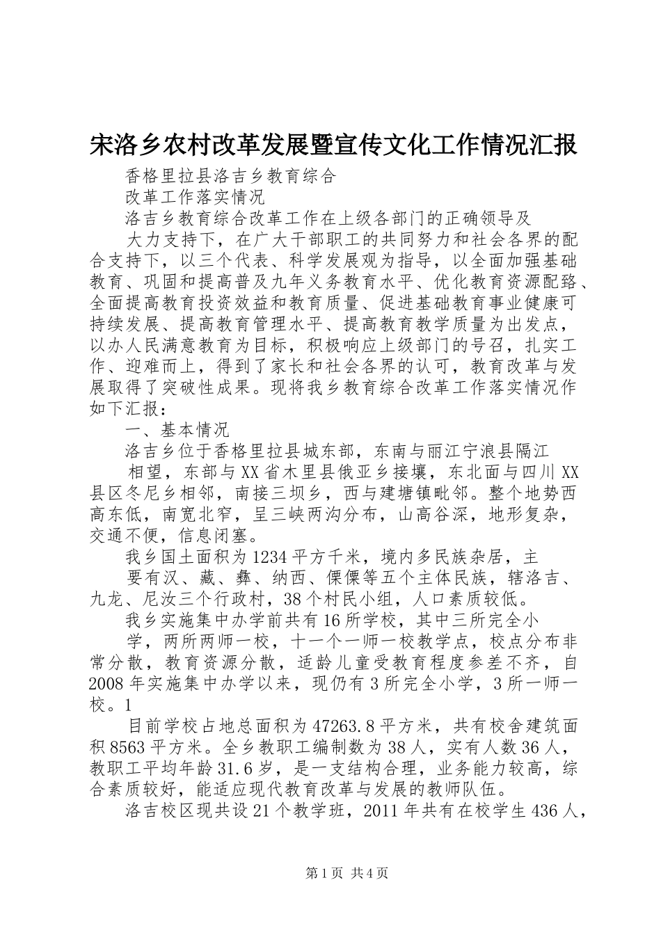 宋洛乡农村改革发展暨宣传文化工作情况汇报_第1页