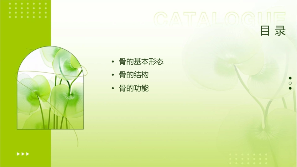 骨的形态和结构课件_第2页