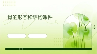 骨的形态和结构课件