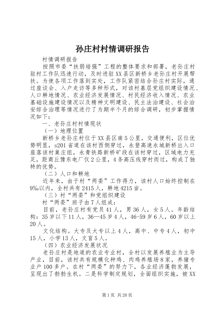孙庄村村情调研报告_第1页