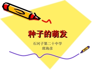 种子的萌发-席海彦