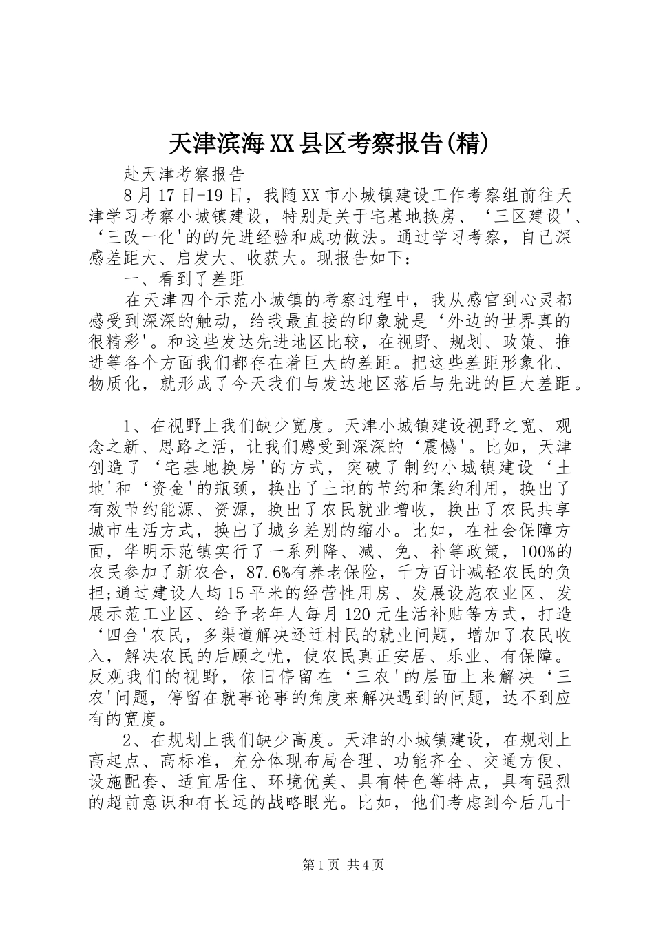 天津滨海XX县区考察报告(精)_第1页