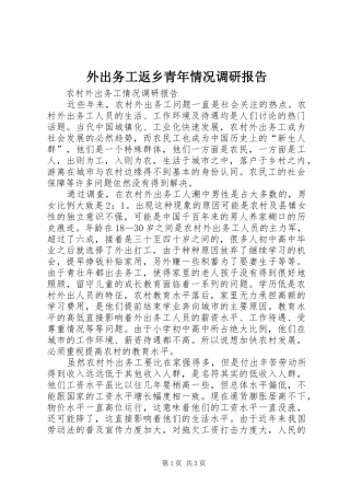 外出务工返乡青年情况调研报告