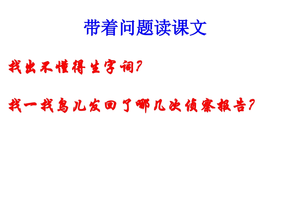 鸟儿的侦察报告课件_第3页
