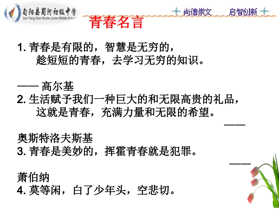 《青春随想》综合性学习_第3页