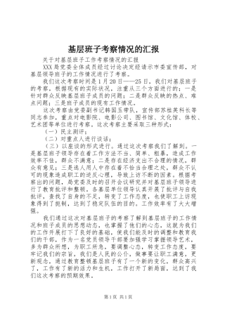 基层班子考察情况的汇报