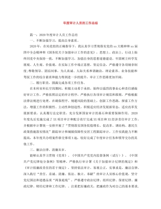 年度审计人员的工作总结 