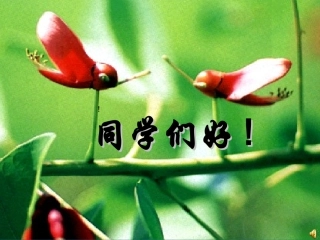 《生活中的色彩搭配》课件2