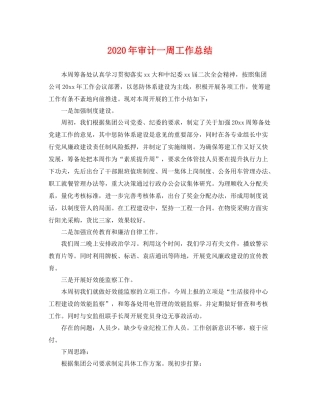2020年审计一周工作总结 