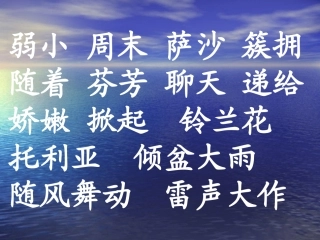 我不是最弱小的课件