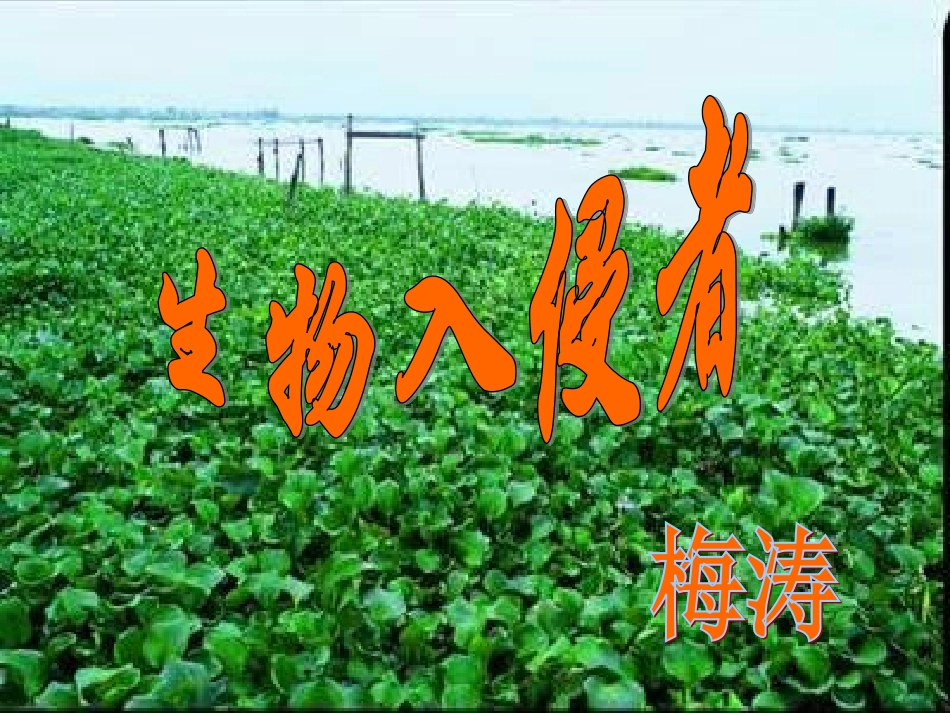 生物入侵者 (3)_第3页