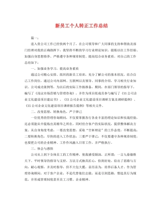 新员工个人转正工作总结 