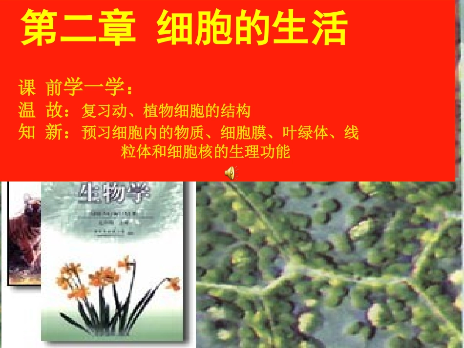 细胞的生活1010_第1页