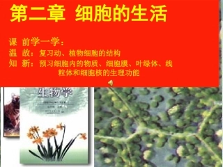 细胞的生活1010