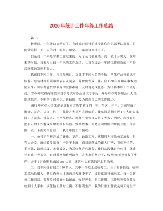 2020年统计工作年终工作总结 