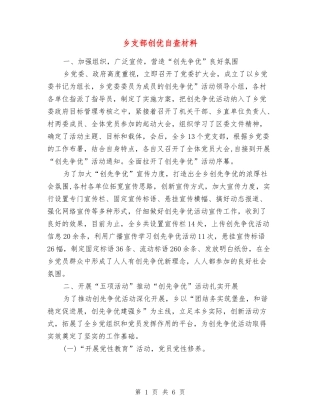 乡支部创优自查材料