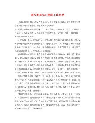 银行柜员见习期间工作总结 