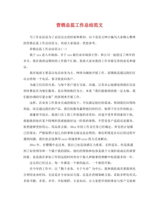 营销总监工作总结范文 