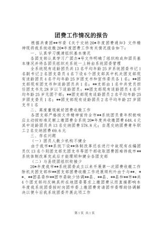 团费工作情况的报告