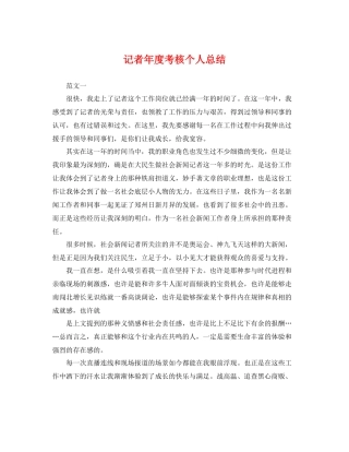 记者年度考核个人总结 