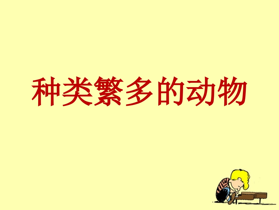 《种类繁多的动物》教学课件_第1页