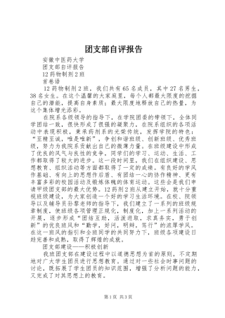 团支部自评报告