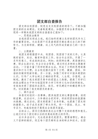 团支部自查报告