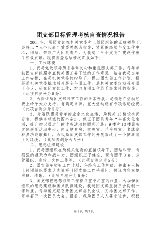 团支部目标管理考核自查情况报告