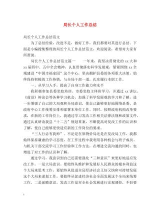 局长个人工作总结 
