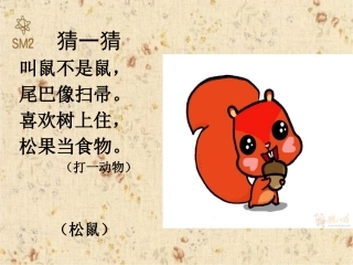 《跑进家来的松鼠》公开课PPT