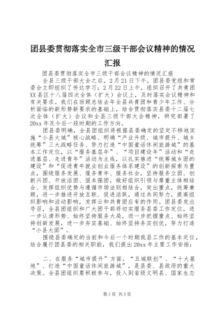 团县委贯彻落实全市三级干部会议精神的情况汇报