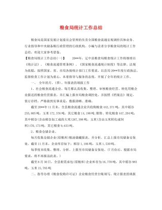粮食局统计工作总结 