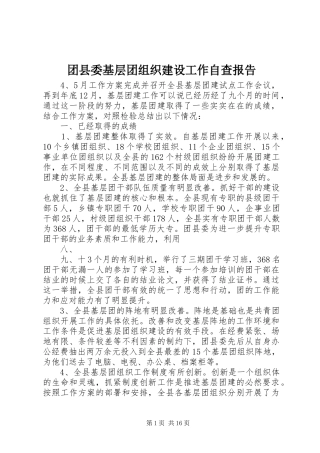 团县委基层团组织建设工作自查报告